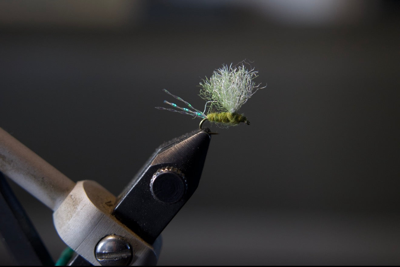 Sparkle BWO