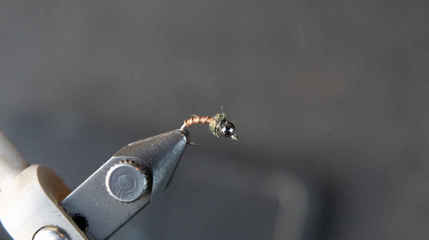 Copper and peacock brassie