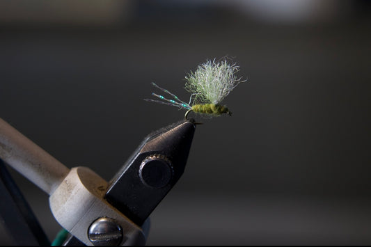 Sparkle BWO