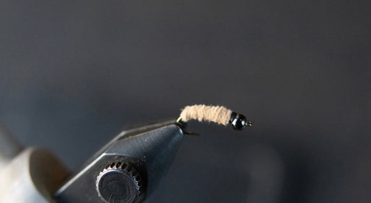 The Classic Buckskin